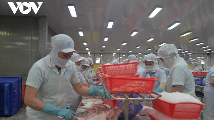 Tra fish exports set to rake in US$2 billion this year